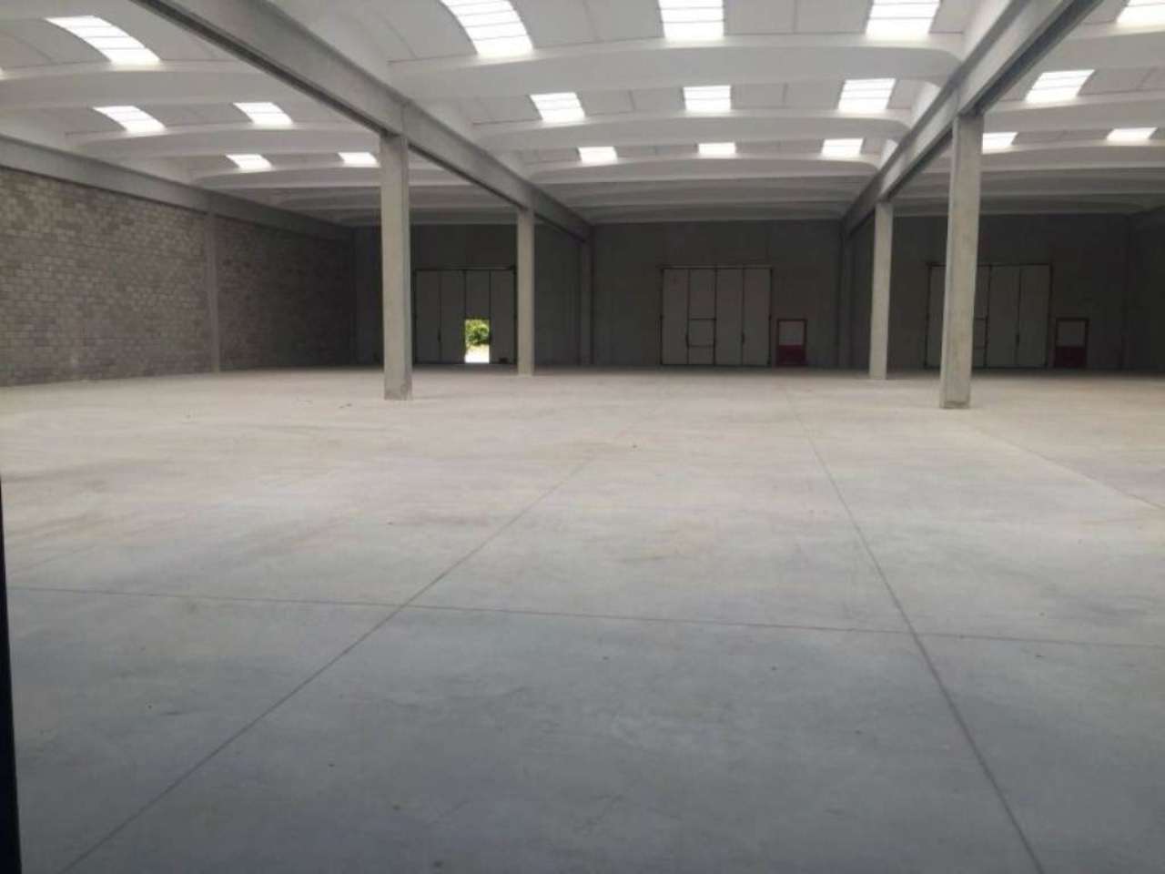 <span  class="uc_style_uc_tiles_grid_image_elementor_uc_items_attribute_title" style="color:#ffffff;">2571658628.jpg</span>