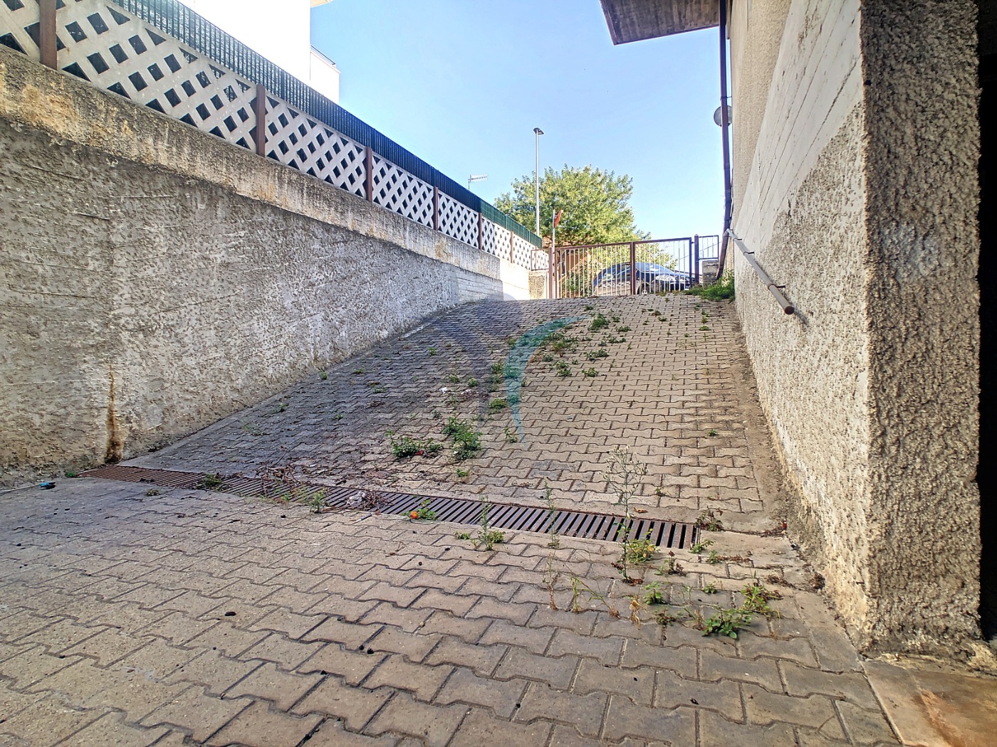 <span  class="uc_style_uc_tiles_grid_image_elementor_uc_items_attribute_title" style="color:#ffffff;">56244.jpg</span>