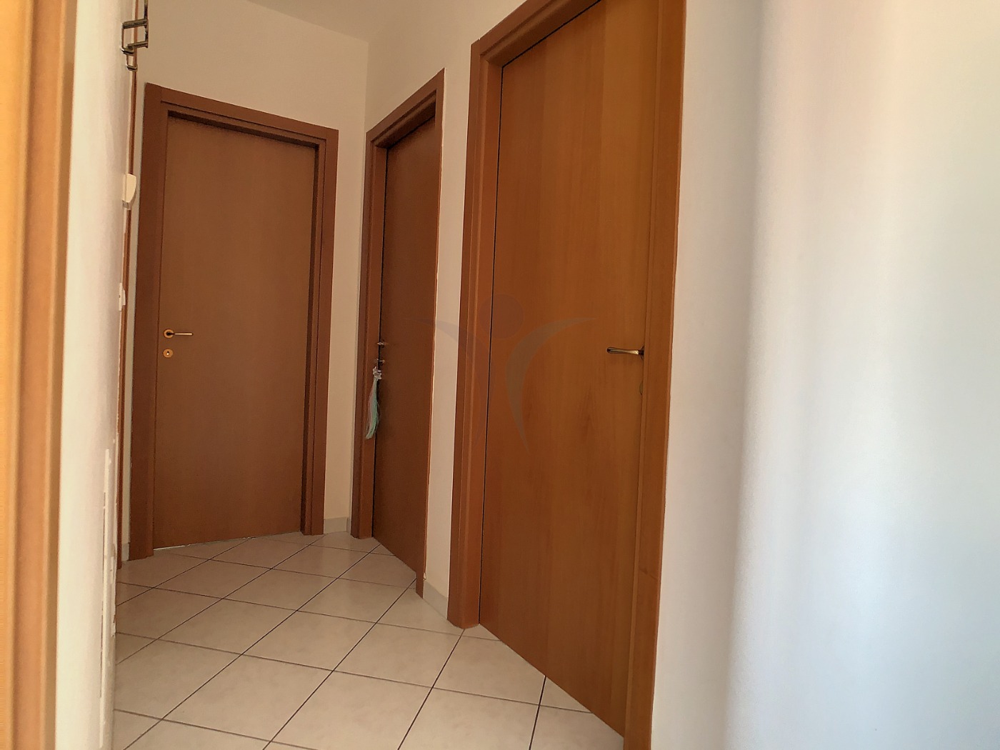 <span  class="uc_style_uc_tiles_grid_image_elementor_uc_items_attribute_title" style="color:#ffffff;">57047.jpg</span>