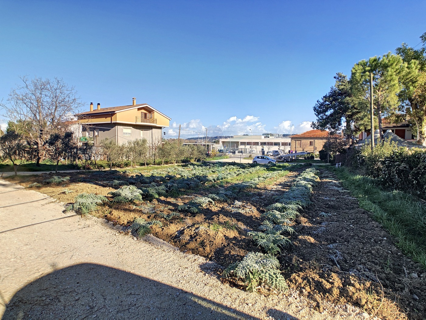 <span  class="uc_style_uc_tiles_grid_image_elementor_uc_items_attribute_title" style="color:#ffffff;">57128.jpg</span>