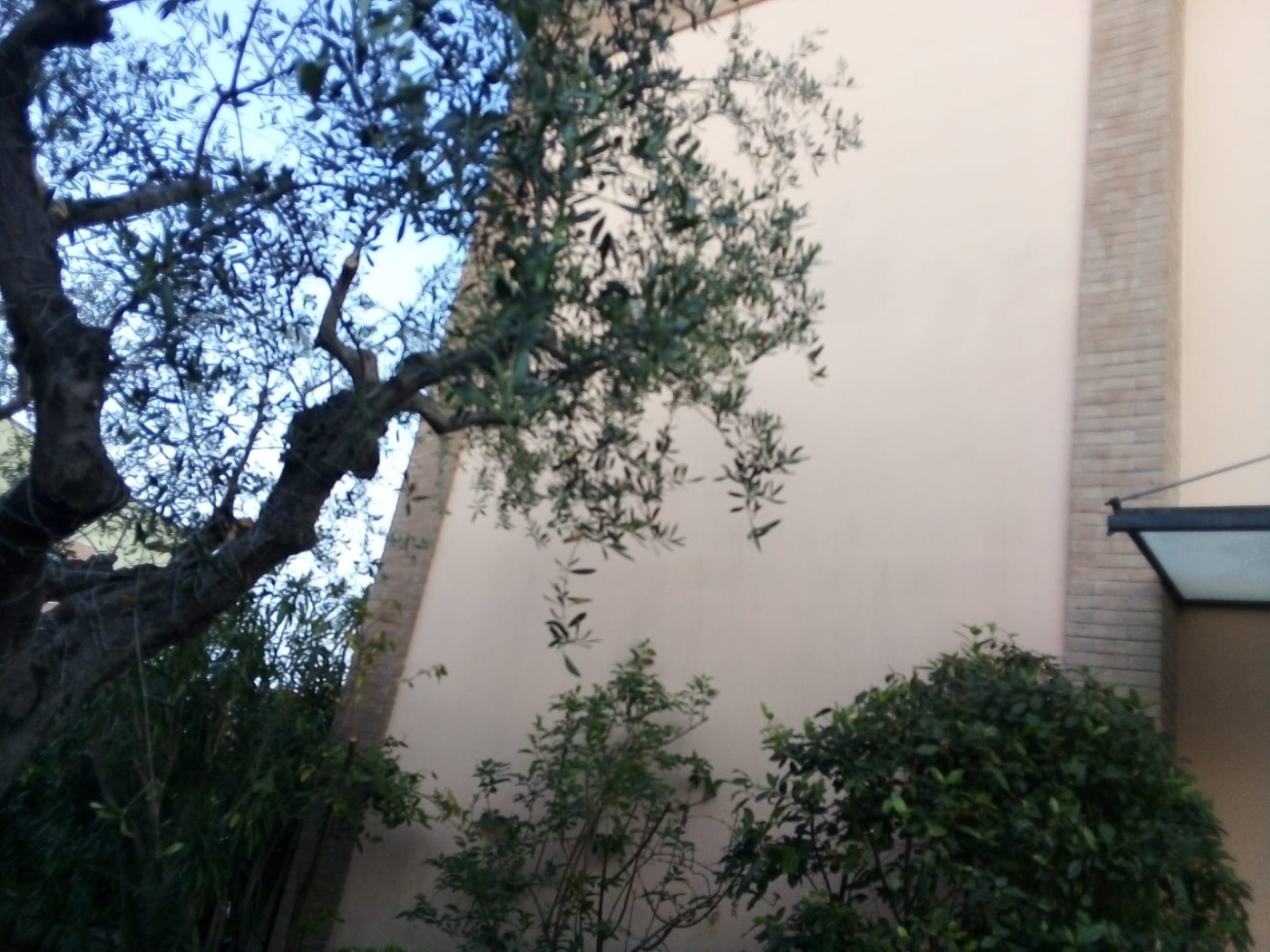 <span  class="uc_style_uc_tiles_grid_image_elementor_uc_items_attribute_title" style="color:#ffffff;">57816.jpg</span>