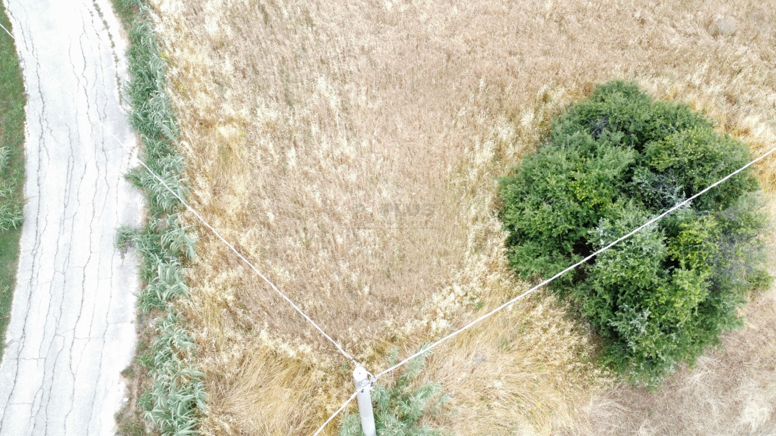 <span  class="uc_style_uc_tiles_grid_image_elementor_uc_items_attribute_title" style="color:#ffffff;">57822.jpg</span>