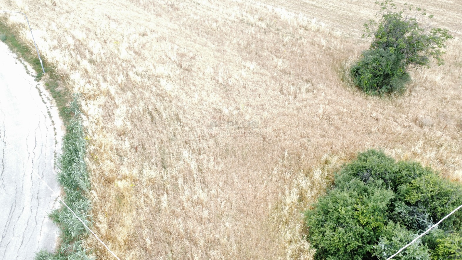 <span  class="uc_style_uc_tiles_grid_image_elementor_uc_items_attribute_title" style="color:#ffffff;">57823.jpg</span>