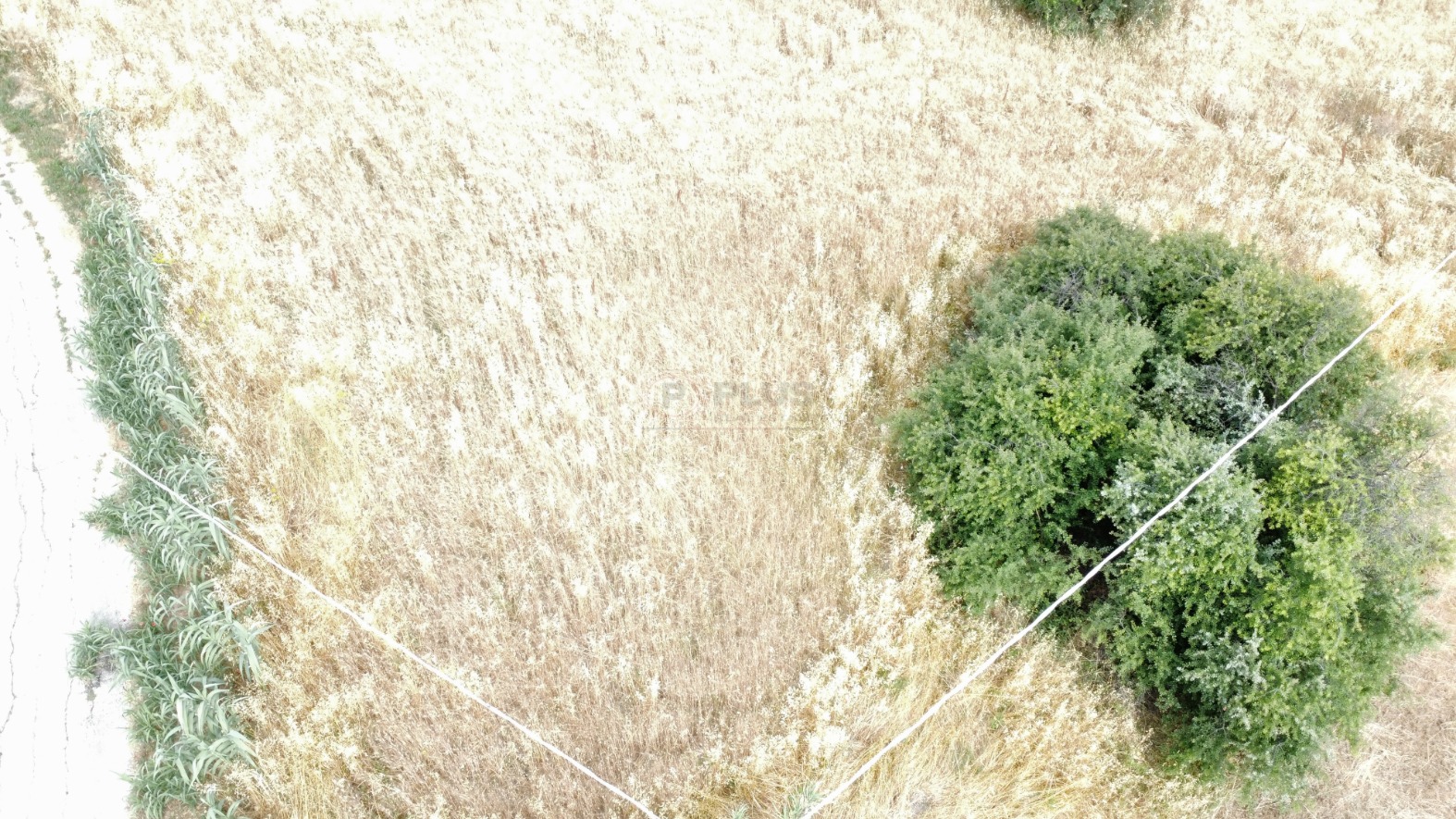 <span  class="uc_style_uc_tiles_grid_image_elementor_uc_items_attribute_title" style="color:#ffffff;">57824.jpg</span>