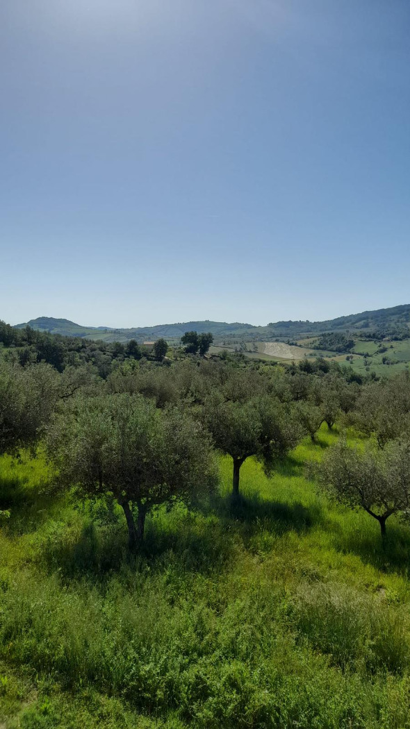 <span  class="uc_style_uc_tiles_grid_image_elementor_uc_items_attribute_title" style="color:#ffffff;">58106.jpeg</span>