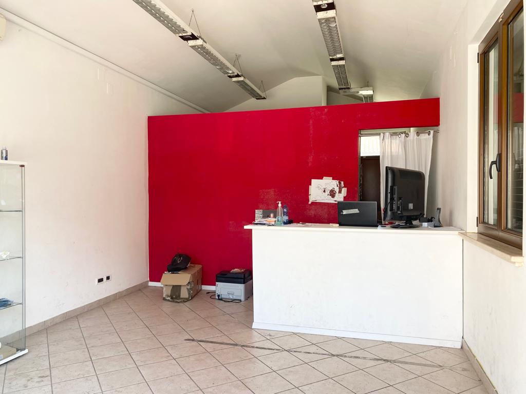 <span  class="uc_style_uc_tiles_grid_image_elementor_uc_items_attribute_title" style="color:#ffffff;">58161.jpg</span>