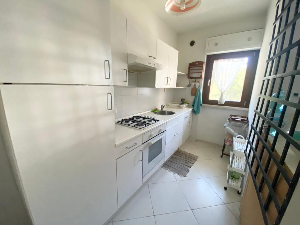 <span  class="uc_style_uc_tiles_grid_image_elementor_uc_items_attribute_title" style="color:#ffffff;">58440.jpg</span>