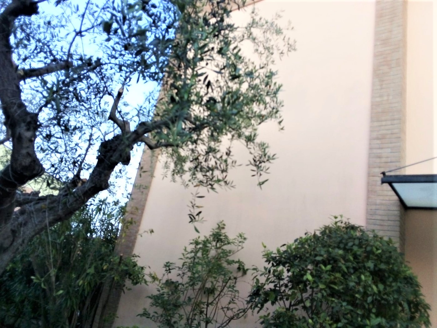 <span  class="uc_style_uc_tiles_grid_image_elementor_uc_items_attribute_title" style="color:#ffffff;">58453.jpg</span>