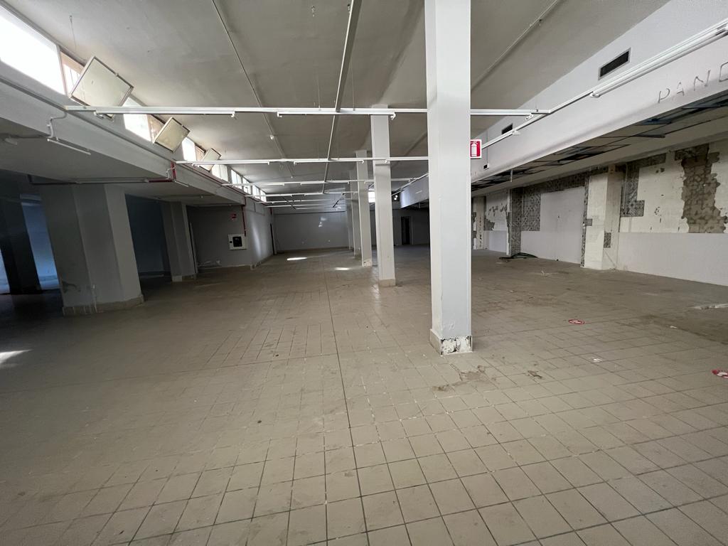 <span  class="uc_style_uc_tiles_grid_image_elementor_uc_items_attribute_title" style="color:#ffffff;">23696.jpeg</span>