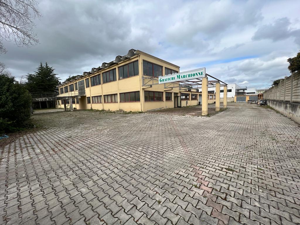 <span  class="uc_style_uc_tiles_grid_image_elementor_uc_items_attribute_title" style="color:#ffffff;">24184.jpeg</span>