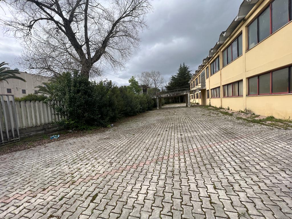 <span  class="uc_style_uc_tiles_grid_image_elementor_uc_items_attribute_title" style="color:#ffffff;">24185.jpeg</span>