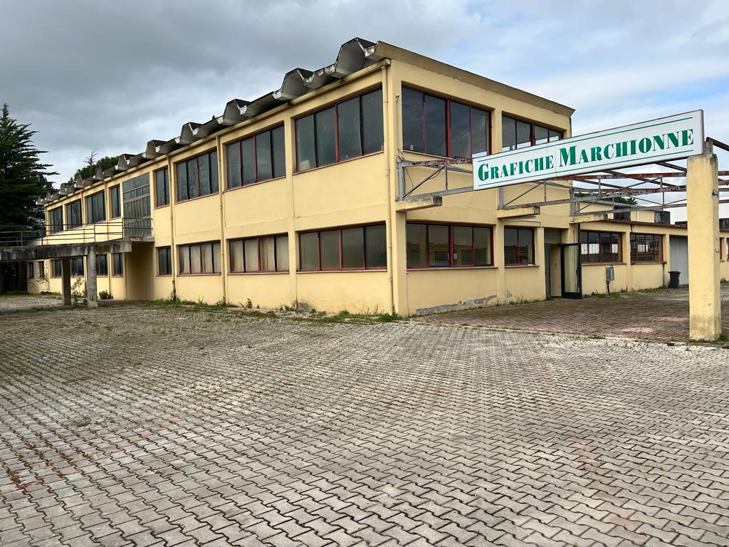 <span  class="uc_style_uc_tiles_grid_image_elementor_uc_items_attribute_title" style="color:#ffffff;">24186.jpeg</span>